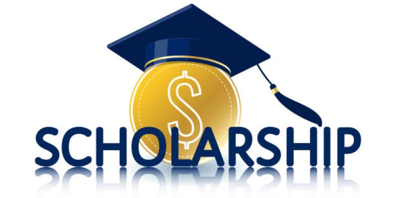 Scholarship, edu investment, dollar coin, traditional academic graduation hat. For university, college, school, landing page, template, ui, web, mobile app, poster, banner. Vector Isolated on white.